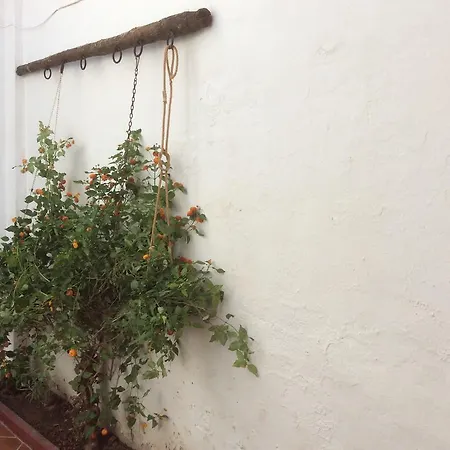 Ca Bienvenida Casa vacanze